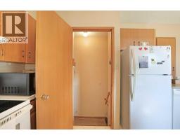 Laundry room - 47 Eastbrook Way E, Brooks, AB T1R0H8 Photo 11