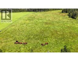 53419a Range Road 161, Rural Yellowhead County, AB T7E3H1 Photo 48