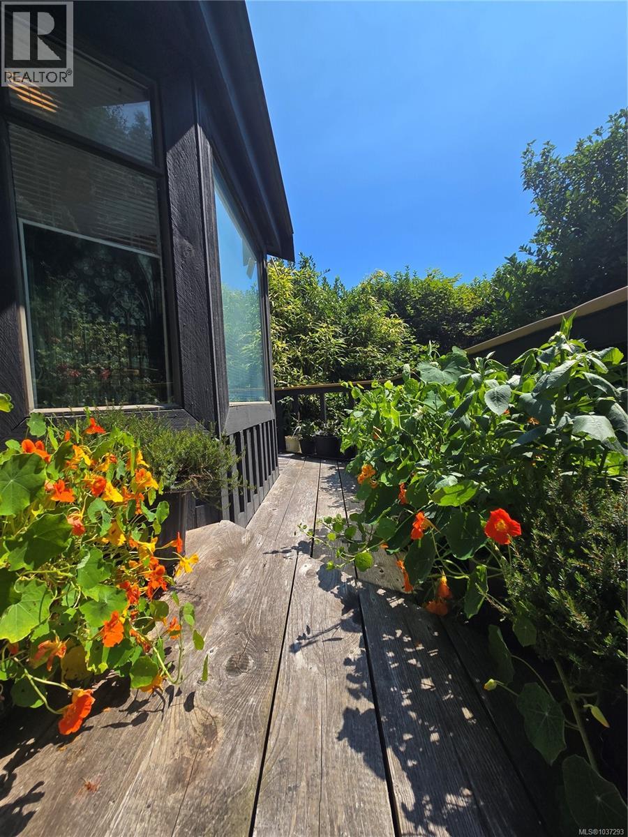 1334 Chesterman Beach Rd - 32