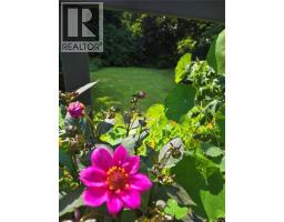 1334 Chesterman Beach Rd, Tofino, BC V0R2Z0 Photo 34