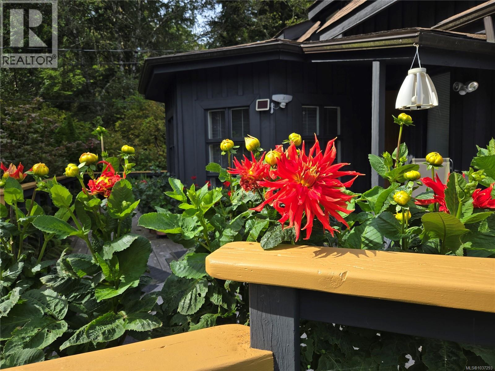 1334 Chesterman Beach Rd - 31