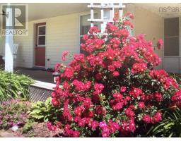 889 Blue Sea Road, Malagash Point, NS B0K1E0 Photo 42
