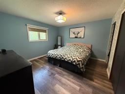 99084 10n Road, Killarney, MB R0K1G0 Photo 15