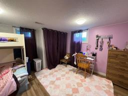 99084 10n Road, Killarney, MB R0K1G0 Photo 31