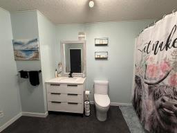 99084 10n Road, Killarney, MB R0K1G0 Photo 21