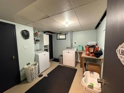 99084 10n Road, Killarney, MB R0K1G0 Photo 35