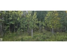 Twp Rd 540 & Range Rd 35, Rural Lac Ste. Anne County — photo 4