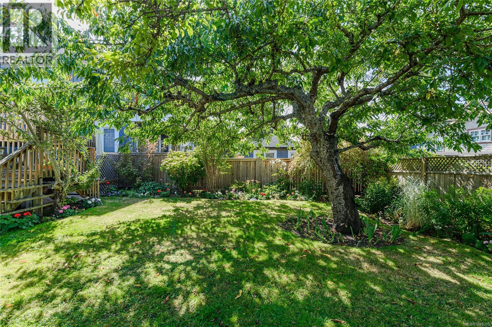244 Moss St - Image 35