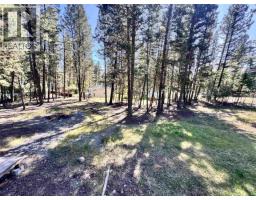 4907 Gloinnzun Drive, 108 Mile Ranch, BC V0K2Z0 Photo 6