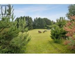 938400 Airport Road, Mulmur, ON L9V0M1 Photo 43
