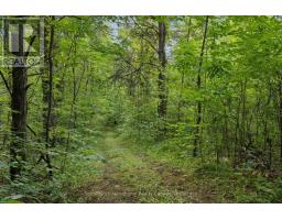 938400 Airport Road, Mulmur, ON L9V0M1 Photo 47