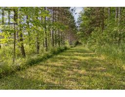 938400 Airport Road, Mulmur, ON L9V0M1 Photo 44