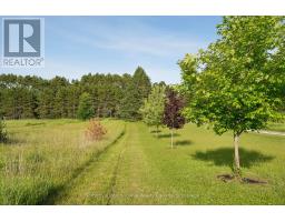 938400 Airport Road, Mulmur, ON L9V0M1 Photo 45
