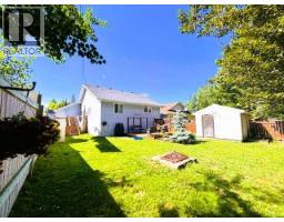 125 10 Street, Canyon Creek, AB T0G0M0 Photo 28