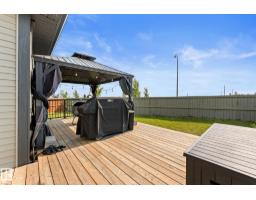 22373 92a Av Nw, Edmonton, AB T5T7P3 Photo 51