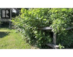 1334 Route 205, Clair, NB E7A1Y2 Photo 45