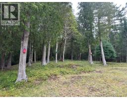 25 Mason Lane, Pennfield, NB E5H2S3 Photo 25