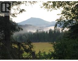 9841 Talbot Road, Nelway, BC V0G1Z0 Photo 29