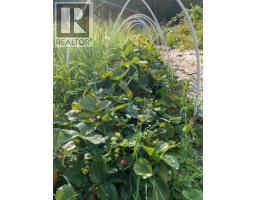 9841 Talbot Road, Nelway, BC V0G1Z0 Photo 18