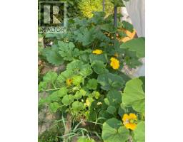 9841 Talbot Road, Nelway, BC V0G1Z0 Photo 19