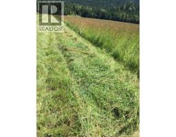 9841 Talbot Road, Nelway, BC V0G1Z0 Photo 23