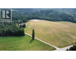9841 Talbot Road, Nelway, BC V0G1Z0 Photo 26