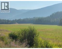 9841 Talbot Road, Nelway, BC V0G1Z0 Photo 22