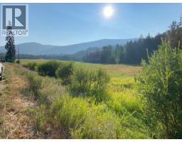 9841 Talbot Road, Nelway, BC V0G1Z0 Photo 25