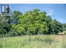 Pt 1 Boyce Road, Alnwick/haldimand, ON K0K1S0 Photo 6