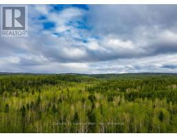 N 1/2 L 10 Centre Road, Thunder Bay Remote Area, ON P0T1X0 Photo 11