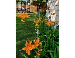 1801 Mt Sinclair Avenue N, Cranbrook, BC V1C6B8 Photo 50