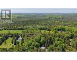 354515 Osprey Artemesia Rr 4 Road, Grey Highlands, ON N0C1E0 Photo 16