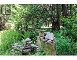 354515 Osprey Artemesia Rr 4 Road, Grey Highlands, ON N0C1E0 Photo 25