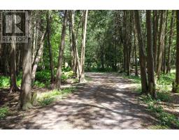 354515 Osprey Artemesia Rr 4 Road, Grey Highlands, ON N0C1E0 Photo 23