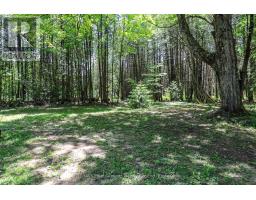 354515 Osprey Artemesia Rr 4 Road, Grey Highlands, ON N0C1E0 Photo 29