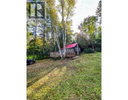 1257 Paint Lake Road, Dorset, ON P0A1E0 Photo 28
