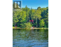 1257 Paint Lake Road, Dorset, ON P0A1E0 Photo 33