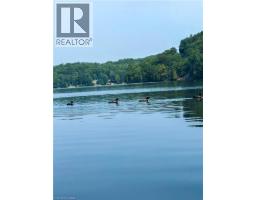 1257 Paint Lake Road, Dorset, ON P0A1E0 Photo 34