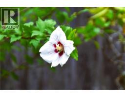 125 Maquinna Ave, Zeballos, BC V0P2A0 Photo 52