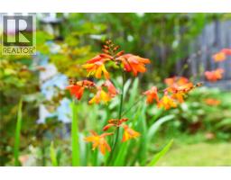 125 Maquinna Ave, Zeballos, BC V0P2A0 Photo 51