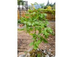 125 Maquinna Ave, Zeballos, BC V0P2A0 Photo 49