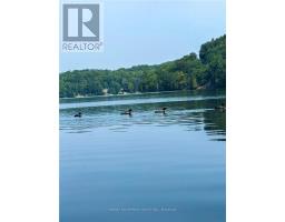 1257 Paint Lake Road, Lake Of Bays, ON P0A1E0 Photo 37