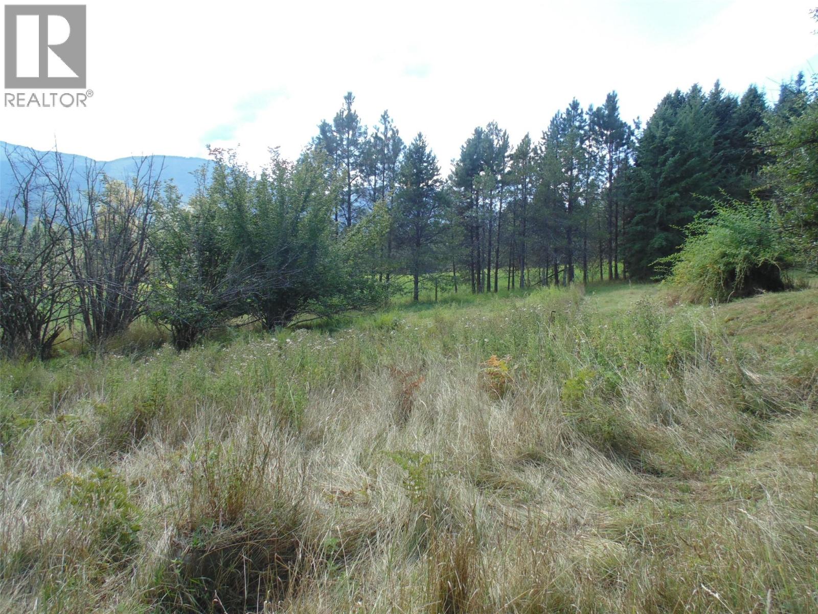 6306 Slocan River Road - Image 14