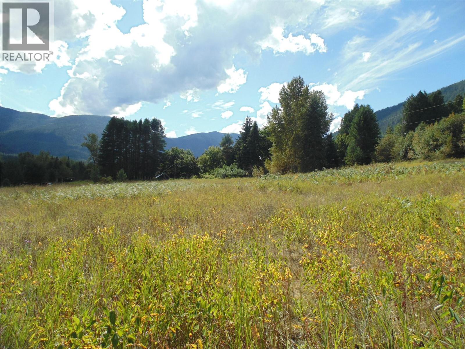 6306 Slocan River Road - 7