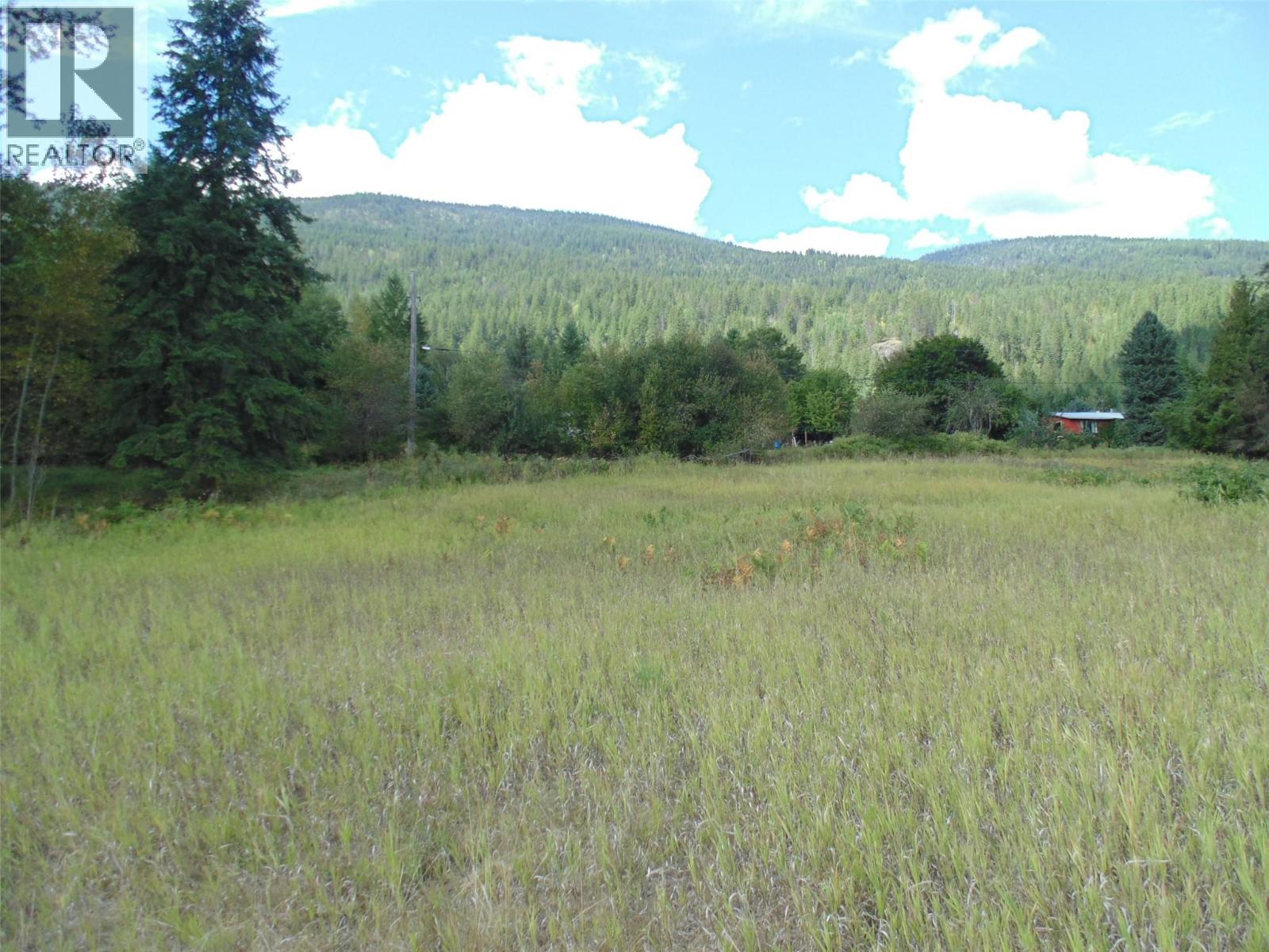 6306 Slocan River Road - 11