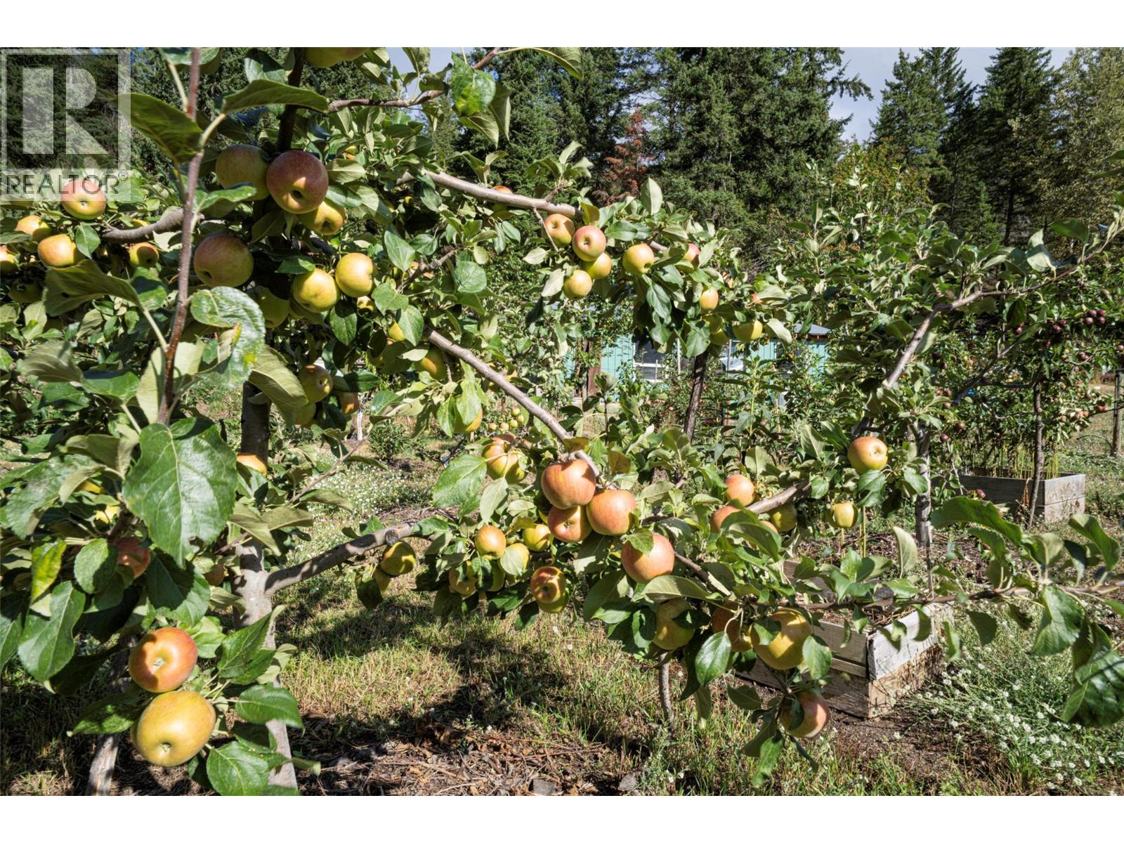  1021 Creighton Valley Road, Lumby
