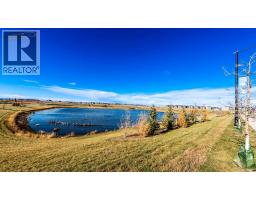 192 Cove Rise, Chestermere, AB T1X1S7 Photo 44