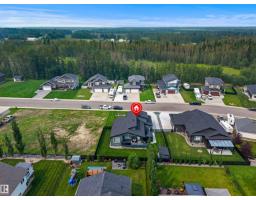 #517 49119 Rge Road 73, Rural Brazeau County, AB T7A1B9 Photo 13