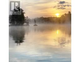 219 Crane Lake Water, The Archipelago, ON P2A0B7 Photo 36