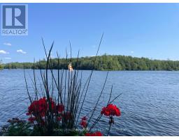 219 Crane Lake Water, The Archipelago, ON P2A0B7 Photo 37